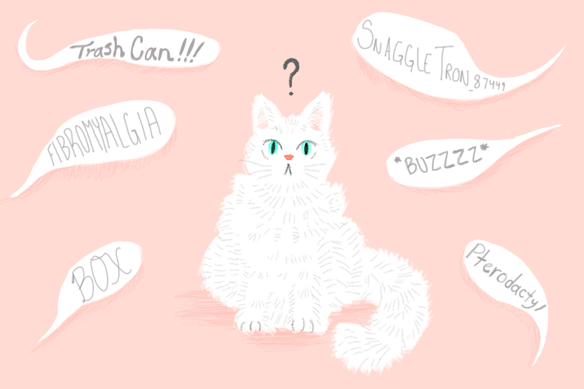 A List Of Bad Cat Names F Newsmagazine