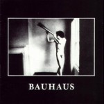 Bauhaus - In The Flat Field