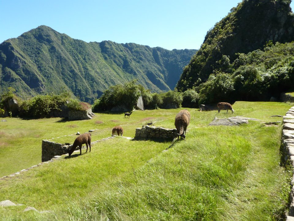 Peru, by Grant Hayne