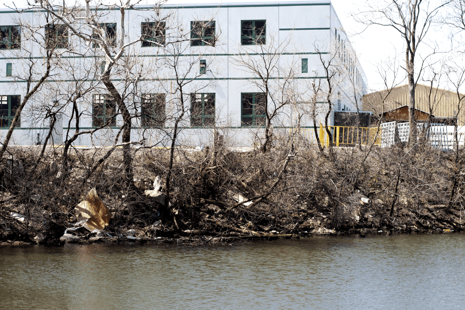 The Reek of Bubbly Creek F Newsmagazine