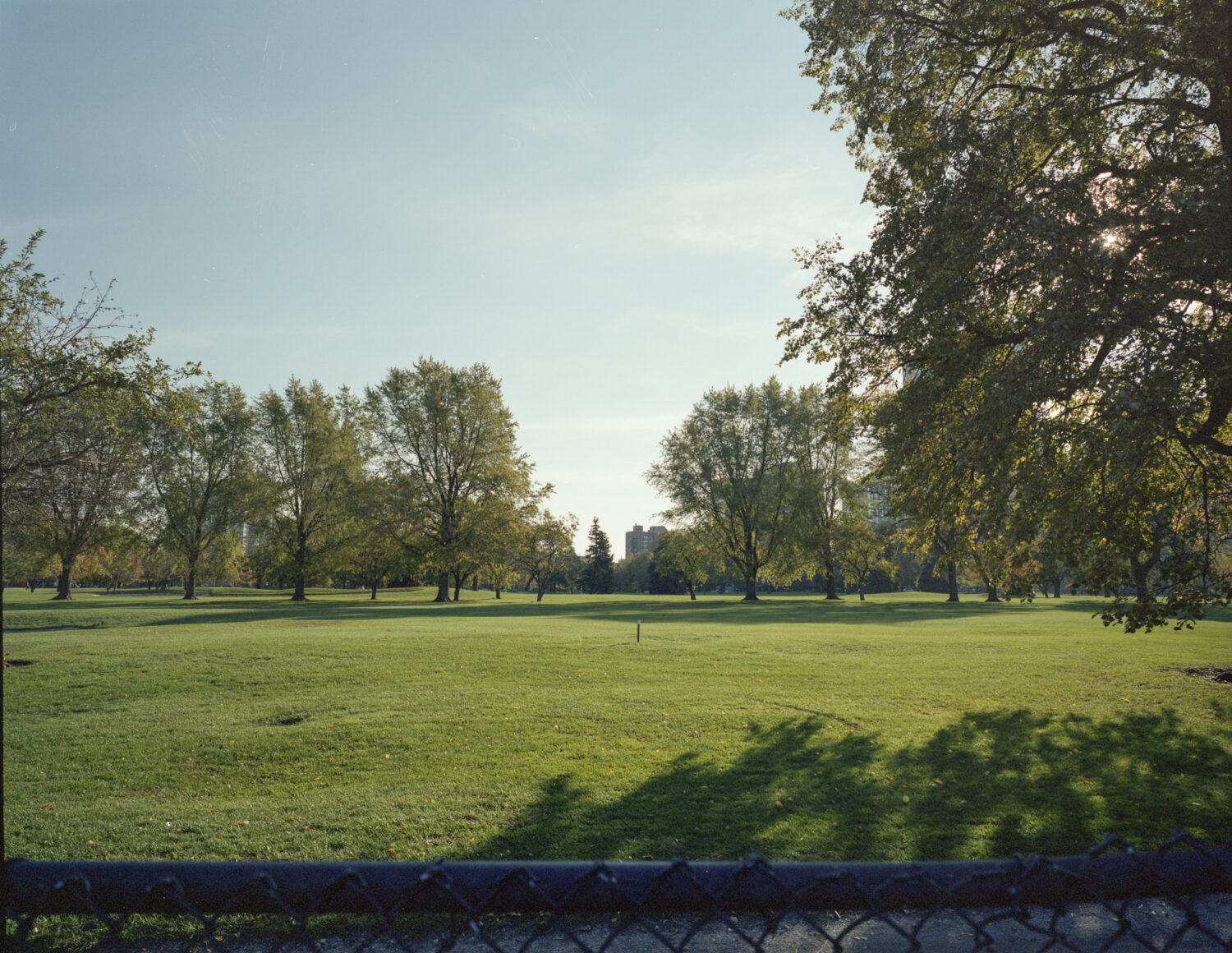 The fairway of the course.