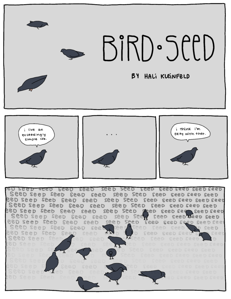The first panel shows three pigeons staring at the ground on a grey backdrop. Handwritten text reads "BIRD SEED" By Hali Kleinfeld. The middle three panels show a pigeon contemplating its life, saying "I lead an exceedingly simple life... I think I'm okay with that." The last panel on the page shows a cluster of pigeons with the word "SEED" written all over the panel in various sizes and opacity. The pigeons are heavily fixated on the seeds.