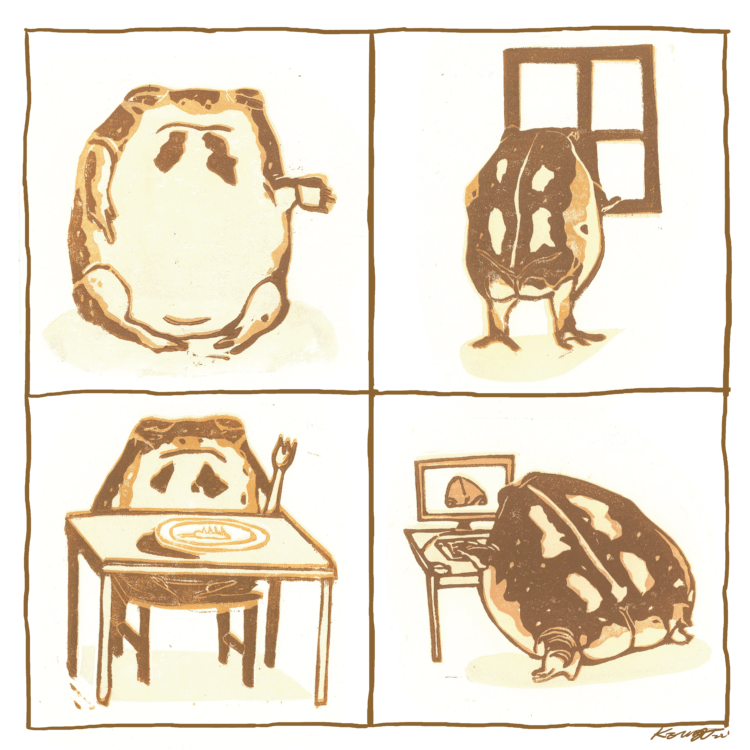 Panel one: A common rain frog sits on the ground looking sadly at a cup of coffee in its hand. Panel two: The rain frog stands at a window pane, looking outside where it is blank. Panel three: It sits at a table holding a fork, looking uninterested in the dead cricket on its plate. Panel four: The frog is at a desk on the computer, and on the screen is a picture of a rain frog in the same position as it.