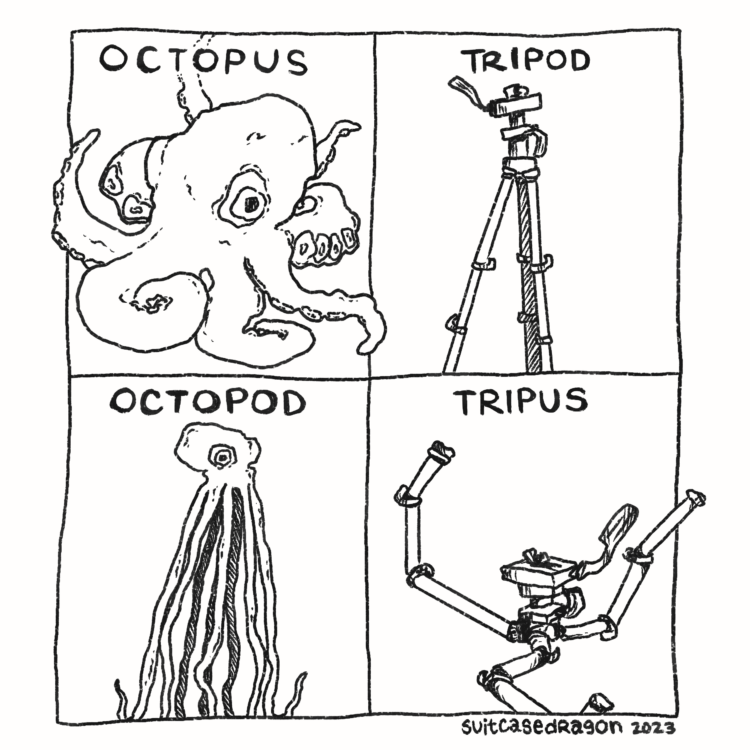 The comic is four equally-sized panels. In the first panel, an octopus sprawls out with the label 'OCTOPUS' above it. In the second panel, a tripod sits normally under the label 'TRIPOD.' In the third panel, an octopus is posed awkwardly, with stiffly vertical legs in a similar position to the tripod in the previous panel, and labeled 'OCTOPOD.' The fourth panel shows a tripod posing in the same position as the octopus from the first panel, with the label 'TRIPUS' above it.