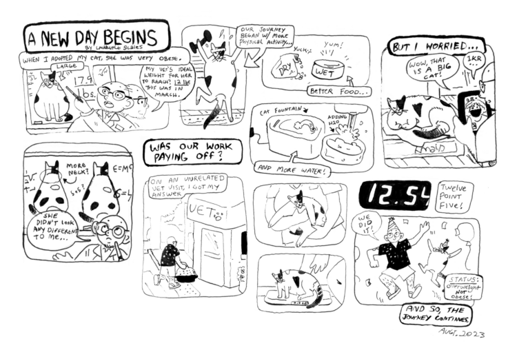 "A New Day Begins" is a horizontal black and white comic made up of eleven panels and four extra bold caption boxes. Panel one has a large caption over the top of it which reads the title "A New Day Begins" in all caps, and written in small text under that title is the author's name, Lawrence Scales. The comic is hand drawn in black ink, and has thin, shaky lines with rounded panels and caption boxes.The first panel, right below the title caption, is horizontal. A bald man in a scientist outfit points to a drawing of a cat on a whiteboard, which is covered with equations. The cat is round and the board says she is 17. 9 lbs. The man's first speech bubble says, "When I adopted my cat she was very obese." His second balloon, which comes from a second drawing of his face as it turns to look at the next panel, says, "My vet's ideal weight for her to reach? 12 pounds. This was in March."  The second panel is smaller, portrait style, and shows a calico cat jumping in the air, lifting a dumbbell and sweating. The cat wears a hand band. A speech balloon with an arrow for a tail points at the cat, and says, "Our journey began with more physical activity..."  The third panel is small and horizontal. Another balloon on the bottom right hand side, with an arrow for a tail, points to the image inside; two types of cat food, dry on the left, wet on the right, with the dry labeled yuck and the wet labeled yum. This balloon says "Better food...."  Panel four is right below this panel, same size and shape, with another arrow tailed balloon on the bottom left hand side of the panel pointing at the image inside. This panel shows a cat water fountain and a dish of cat food with a sink faucet pouring water into it. The words "cat fountain" are written in smaller text above the fountain, with an arrow pointing towards it, while the image of the dish is labeled "adding H20." The balloon underneath the panel says "More water!"  Panel five is a square with a large, bold caption box on top. The caption reads "But I worried..." and the panel shows the cat curled up on top of a box, while her owner, peering out from the right side of the panel below, shows her to a friend on a video phone call. The friend on the phone says, "Wow, that is a big cat!" The owner says "ikr..."  Panel six begins the second row of panels. This shows the man at the whiteboard again. There are two drawings of the cat sitting down, seen from behind, on the white board. The drawing on the left has the cat's neck circled, with the text "more neck?" written next to it. The owner looks like he is thinking, and his balloon says, "She didn't look any different to me..."  The seventh panel has another bold caption box over it. The caption reads, "Was our hard work paying off?" A smaller caption box with no bold outline reads "On an unrelated vet visit, I got my answer," and the panel shows the bald man walking up to a vet's office with a cat carrier. Panels eight and nine are small stacked horizontal panels, showing the cat being picked up by a vet tech in the first one and then dropped on a scale in the second panel.  Panel ten and its caption are like a sideways exclamation point. The tenth panel is rectangular and all black, with white numbers written on it. "12. 54" The small caption box next to it, a little square, says "Twelve point five!" The final panel of the comic is below this one. It shows the man in a party hat, on the left, jumping up and dancing next to his cat, on the right, who also wears a small party hat and blows a party horn. There are balloons floating up next to them and confetti. The man's speech balloon says, "We did it!" and the square caption on the bottom right hand side of the panel reads "STATUS: overweight NOT obese!" The final bold caption box on the bottom of the panel, below this caption box, reads, "And so, the journey continues." 