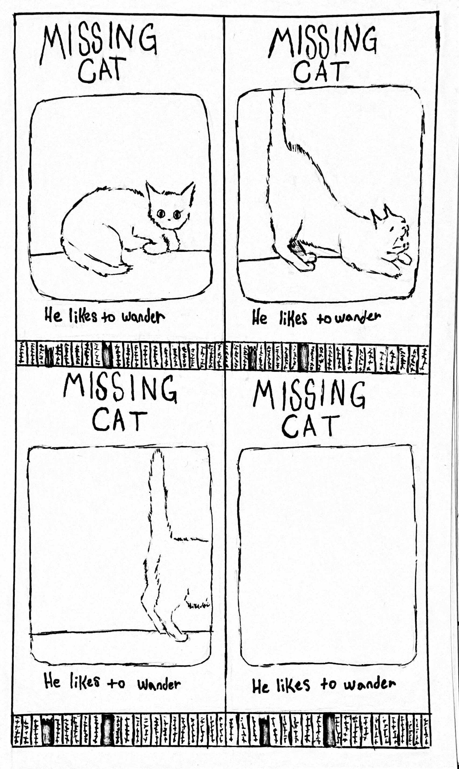 missing-cat-f-newsmagazine