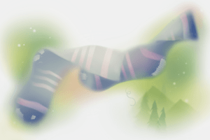 One of the Socks’ Twins Tales