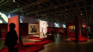 Curating the Artist as a Network