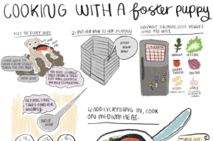 Cooking With a Foster Puppy