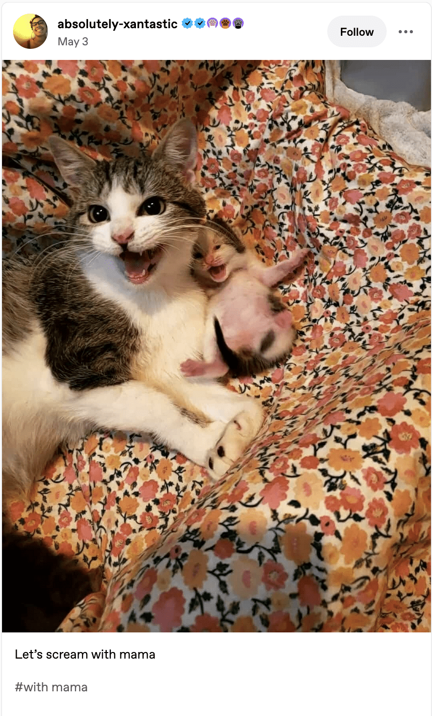 Let's Be With Mamma - F Newsmagazine, image size:858x1422