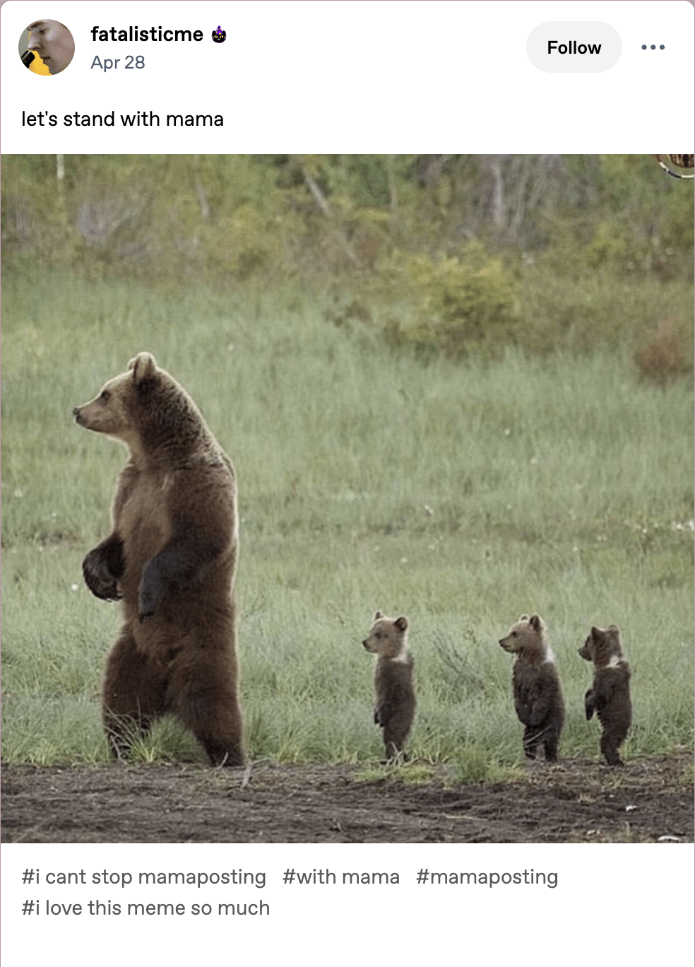 Let's Be With Mamma - F Newsmagazine, image size:984x1368