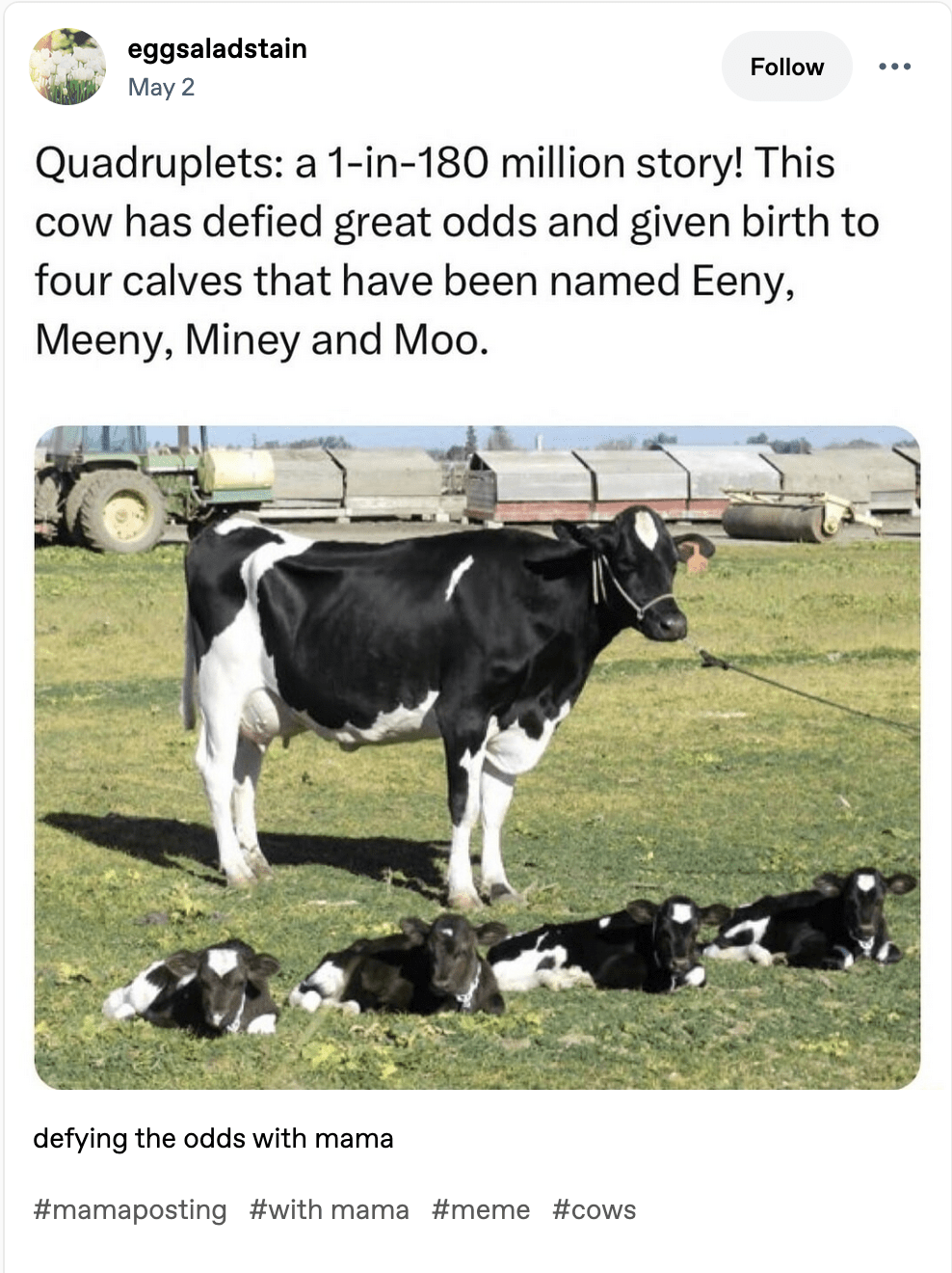 Let's Be With Mamma - F Newsmagazine, image size:988x1320