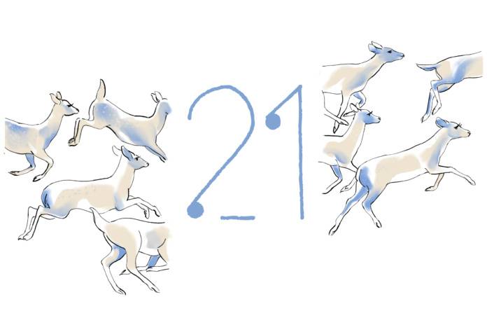 21_webillo