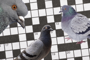SAIC X-ing Crossword SAIC X-ing Crossword